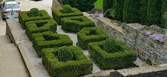 Florence, ky condos & townhomes. Shrub Pruning Service Hedge Trimming Small Tree Pruning