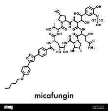 Image result for Micafungin