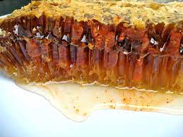 The Dark And The Light Eating Different Honeycombs As Part Of Natural Beekeeping Milkwood Permaculture Courses Skills Stories