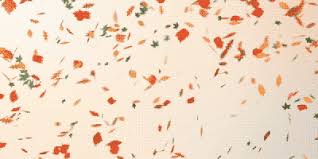 Download free falling leaves transparent png images. Autumn Gifs Get The Best Gif On Giphy