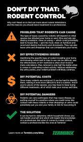 I started this website to help others like you learn how to control and get rid of pests without hiring an exterminator. Why Diy Rodent Control Is Risky Terminix
