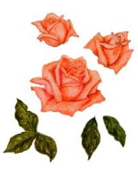 We did not find results for: Card Inspirations An Introduction To Decoupage