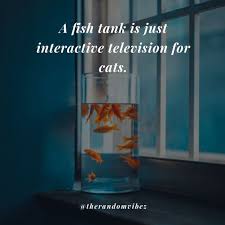Teach a man to fish quote funny. Top 40 Aquarium Quotes And Captions For Your Fish Love