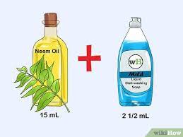 Organic pest control doesn't have to mean fruits and veggies riddled with worms. 7 Ways To Make Organic Pesticide Wikihow