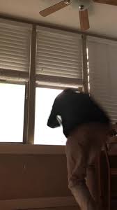 Aight bet #bye #120ft #sike #vfx