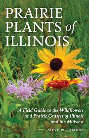 Website description links to other websites. Prairie Plants Of Illinois A Field Guide To The Wildflowers And Prairie Grasses Of Illinois And The Midwest Chadde Steve W 9781951682132 Amazon Com Books