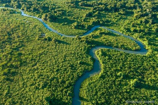 C&acirc;mara aprova urg&ecirc;ncia para sustar amplia&ccedil;&atilde;o da Esta&ccedil;&atilde;o Ecol&oacute;gica de Taiam&atilde;, no Pantanal - ((o))eco