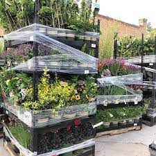 10 Low Maintenance Perennials Western Garden Centers Growing Herbs Indoors Planting Herbs Container Herb Garden