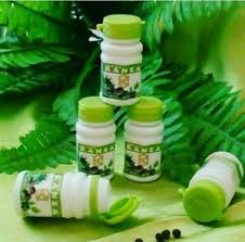 Hasil gambar untuk majakani kanza karawang