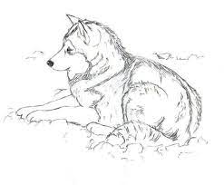 Siberian husky coloring pages are a fun way for kids of all ages to develop creativity focus motor skills and color recognition. Husky Coloring Pages Pdf Free Coloring Sheets Puppy Coloring Pages Animal Coloring Pages Dog Coloring Page