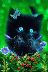 Pin By Caloriemeals On Gify Kotki 2 Cute Cat Wallpaper Cats Animals Beautiful
