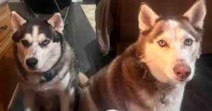 what time is it where you are?