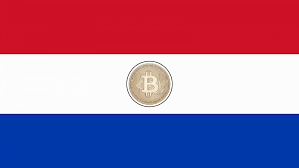 Is Paraguay Set To Become The Second Country To Make Bitcoin Legal Tender After El Salvador Euronews