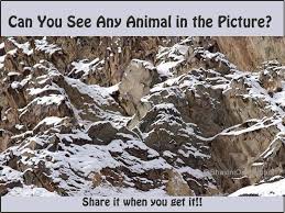 Check spelling or type a new query. Fun Picture Riddle Find The Animal Hidden In Mountains Bhavinionline Com