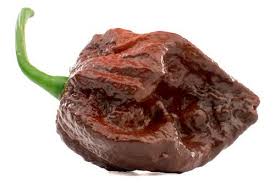 Top 10 World S Hottest Peppers 2020 Update New Hottest Pepper Stuffed Peppers Stuffed Hot Peppers Worlds Hottest Pepper