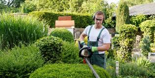We specialize in custom design and installation of residential and commercial landscapes. Commercial Grounds Maintenance Services