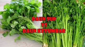 Sama lah, some people dunno what daun ketumbar is, but know itu daun yang taruk dalam sup, hence daun sup. Daun Sup