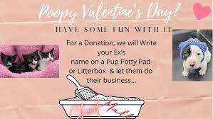Learn more about rexton today. Lucas County Pit Crew Lets You Put Ex S Name On Potty Pad For Valentine S Day