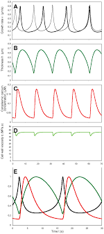 We did not find results for: Plos One Regulator Or Driving Force The Role Of Turgor Pressure In Oscillatory Plant Cell Growth