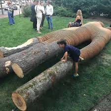 Tree Trunk Carving Wooodworking Woodworking Wood