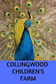 Collingwood Childrens Farm Melbourne Australia Collingwood Childrens Melbourne