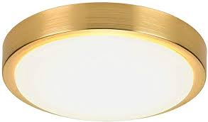 Amazon Com Casilvon Modern Led Mini Flush Mount Ceiling Light Gold Round Lighting Fixture 9w 54 In 2020 Round Light Fixture Flush Mount Ceiling Lights Ceiling Lights