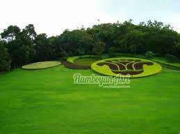 Nah tidak semua rumput yang digunakan bisa untuk di hias ataupun sebaliknya. 7 Jenis Rumput Bagus Untuk Taman Lanskap Landscape Tukang Taman Surabaya