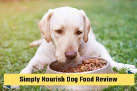 Simply Nourish Dog Food Review Is It Worth Spending Money On