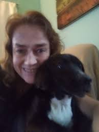 Lost and Found Pets in Defiance County