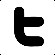 Download HD Twitter-icon - Twitter Logo Transparent Large White Transparent  PNG Image - NicePNG.com