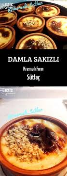 damla sakizli kremali firin sutlac leziz yemeklerim yemek tarifi yemek leziz yemek yemek tarifleri