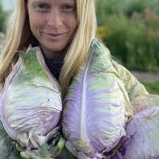 In the Garden: It's time to order seeds