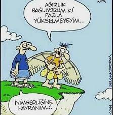 ftiylwmvj56cfm