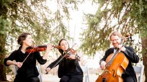We are all learning to live with uncertainty. Wedding Music Packages Front Range Strings