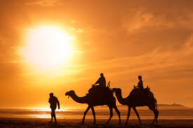 Camel ride on the beach of essaouria. 9 Fantastic Things To Do In Essaouira Clickstay
