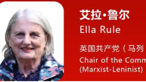 英国共产党（马列）主席艾拉•鲁尔：赞赏中国式现代化道路- 中国日报网