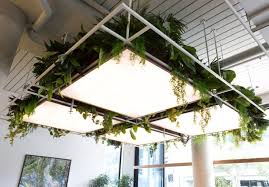 Wer Ist Im Sommer Geoffnet Cafe Geoffnet Im Ist Sommer Wer Wohnung Innsbruck Bepflanzung Schwedisches Haus