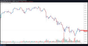 But is the cryptocurrency gone? Amid Rising Stablecoin Inflow Cautious Traders Fear A Dead Cat Bounce Plato Blockchain