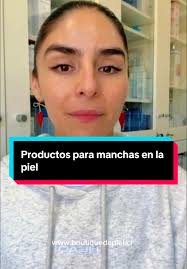 Recorrido 406 Viña Del Mar