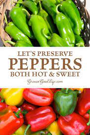 Check spelling or type a new query. Ways To Preserve Peppers Both Hot And Sweet Stuffed Hot Peppers Stuffed Peppers Hot Pepper Recipes