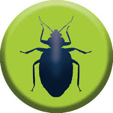 Please review our calender for open dates and fekl free to choose what is convient for you. Pest Control Services Stride Pest Control