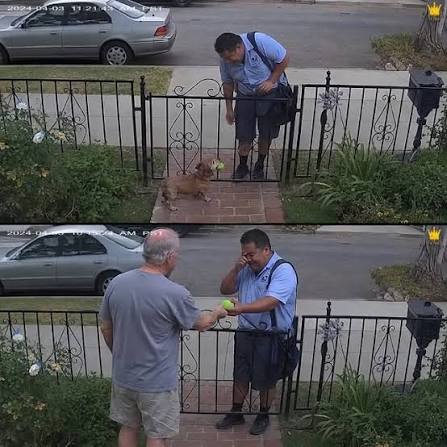 🐾📬 For five years, a dog greeted his mailman the same way every day —  with a tennis ball waiting by the gate. When a new mailman started the  route in 2019,