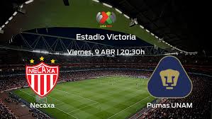 You are on page where you can compare teams necaxa vs pumas u.n.a.m before start the match. 5gtp1u L3pkbim