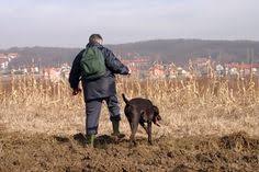 Maybe you would like to learn more about one of these? 8 Animal Stuff Ideas Pets Doggy Dogs