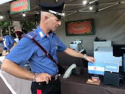 Nuove competenze e razionalizzazione dei compiti. I Controlli Dei Carabinieri Forestali