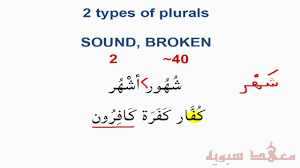 Welche aussage über hamzatul qat3 ist falsch? Arabic For Beginners Lesson 12b Difference Between The Alif And Hamza Further Discussions By Learnquranicarabic