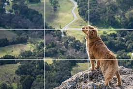 Check spelling or type a new query. What Is The Rule Of Thirds And How To Use It In Photos
