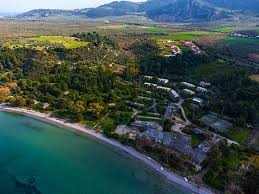 Αρκίτσα φθιώτιδας, γεωγραφία της ελλάδας. Energeies Dhmarxoy 8 Zekente Gia To Kalypsw Sthn Arkitsa Fonografos Net