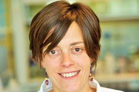 New solar-powered organic compound to tackle air and water pollution