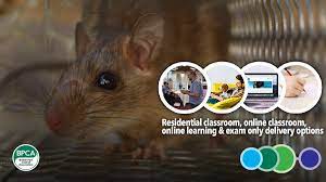 After all, the judges have a hard job c. Level 2 Pest Management Exam Only